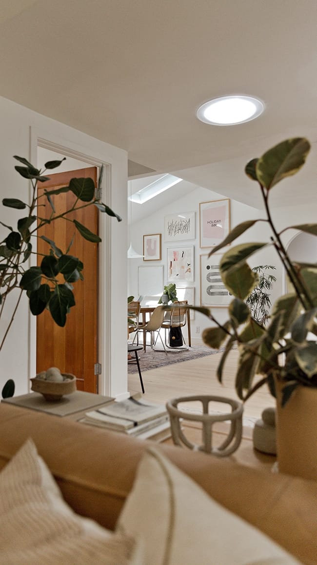 A Sun Tunnel in an entryway with rubber trees below and a skylight over a dining room in the backgroun