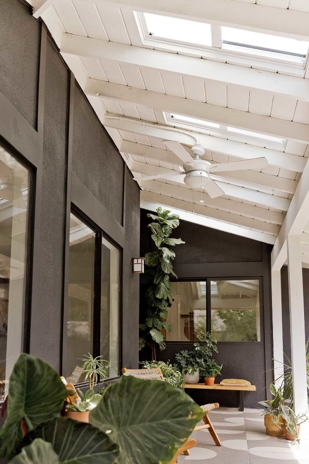 Gray patio with skylights and plants