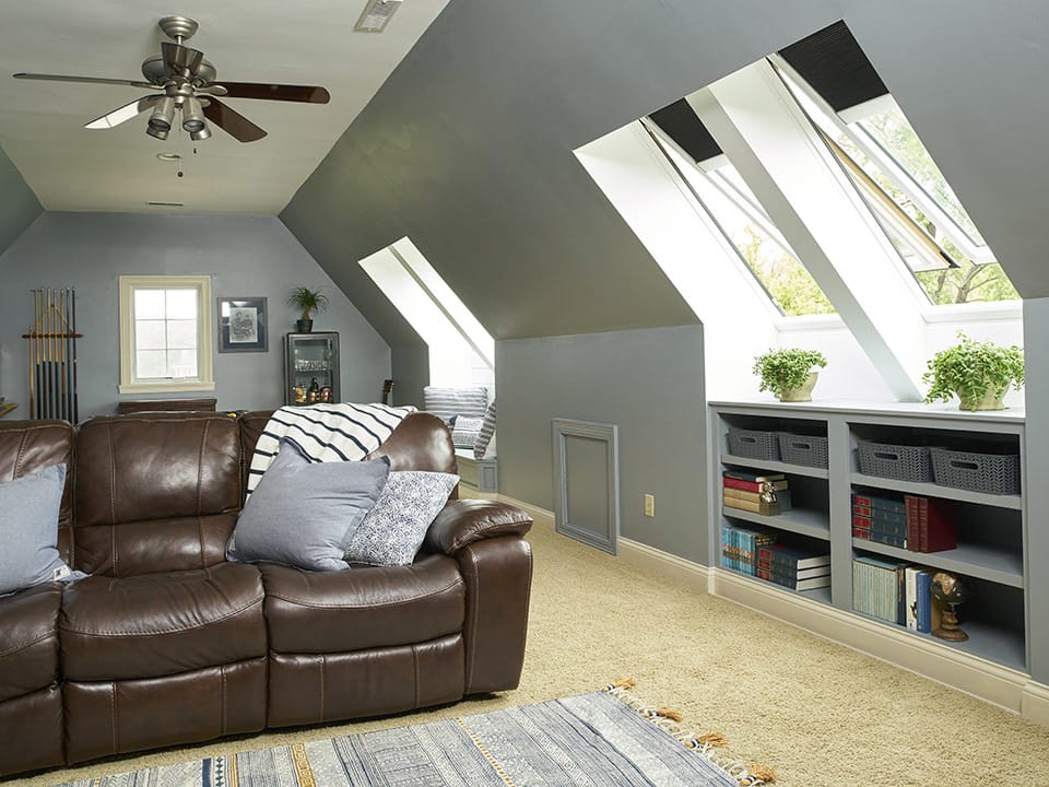 skylight thriving generation indoor bonus skylights