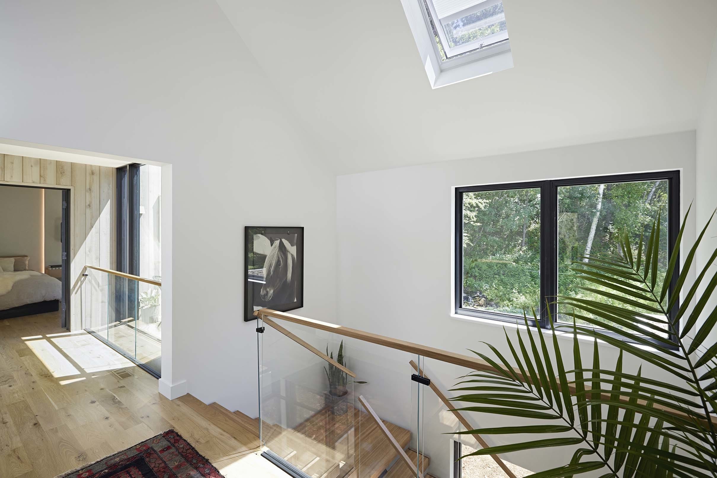 Stairwell skylight plant white wood small