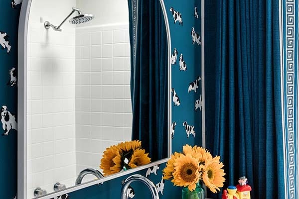 Bathroom mirror shower