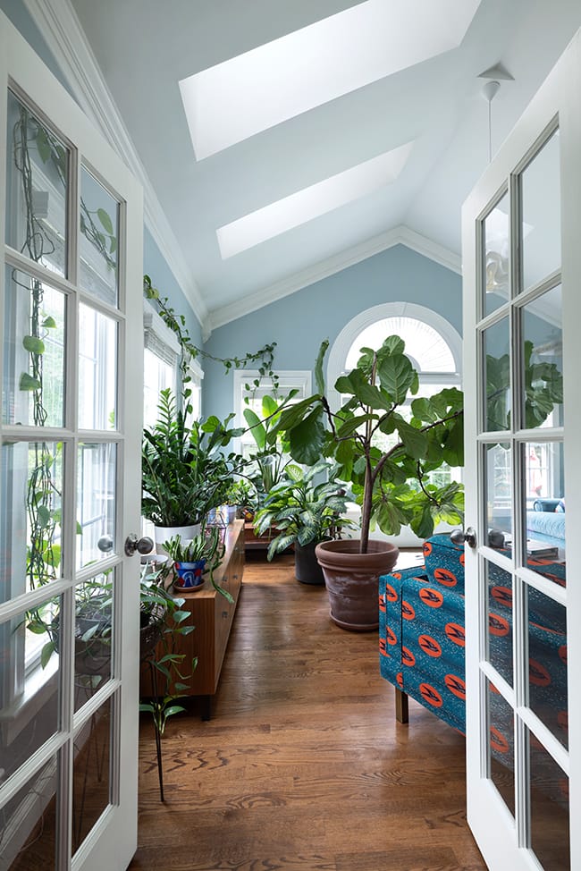 Looking through french doors to skylights in sunroom with plants