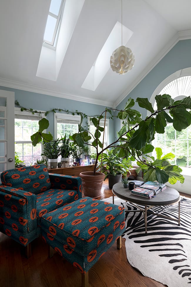 Sunroom with two skylights large ficus